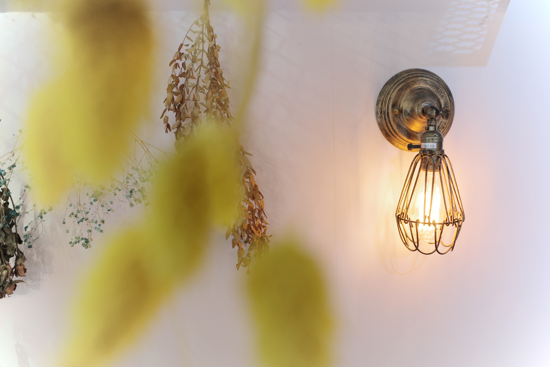 GR3 日系色調 風景與靜物測試 3